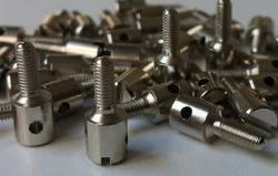 Seal Screw 1